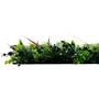 Kép 4/8 - Falpanel JANGAL Modular Wall 11117 Exotic Mixed Flora 52x52 cm