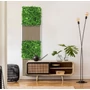 Kép 8/11 - Falpanel JANGAL Modular Wall 11118 Tropical Mixed Flora 52x52 cm