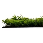 Kép 3/11 - Falpanel JANGAL Modular Wall 11118 Tropical Mixed Flora 52x52 cm
