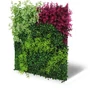 Kép 2/9 - Falpanel JANGAL Modular Wall 11119 Pink Mixed Flora 52x52 cm