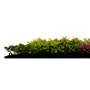 Kép 4/9 - Falpanel JANGAL Modular Wall 11119 Pink Mixed Flora 52x52 cm