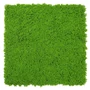 Kép 1/9 - Falpanel JANGAL Modular Wall 11121 Lime Green Design Moos 52x52 cm